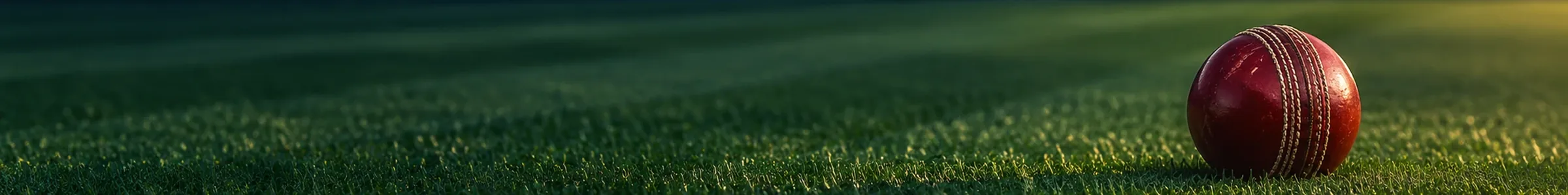Cricket ball resting on a floodlit outfield